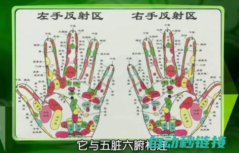 入门必备，掌握电路核心要素 (入门掌法)