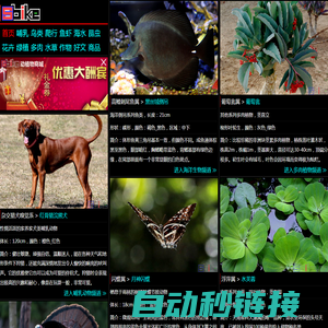 Sbike，识百客，动植物百科网，国内最专业的动物、宠物、植物、花卉科普信息分类、资料速查网站，足不出户的动植物乐园！