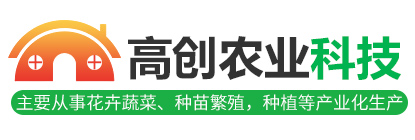 金乡县高创农业科技有限公司_芽苗菜生产及培训,温室大棚建造及配件,大棚蔬菜育苗,园林苗木,花卉育苗